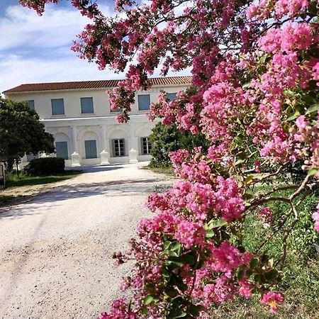 Hotel Le Floreal Le Soler المظهر الخارجي الصورة