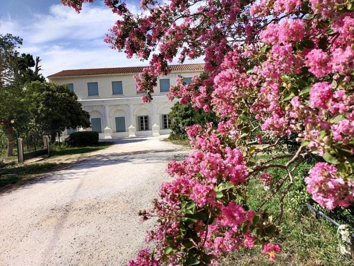 Hotel Le Floreal Le Soler المظهر الخارجي الصورة